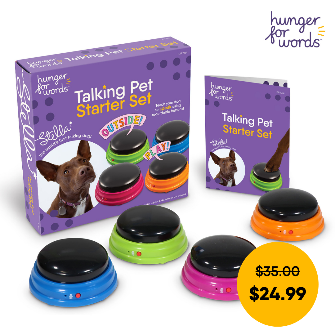 Talking Pet Starter Set