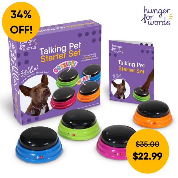 Talking Pet Starter Set
