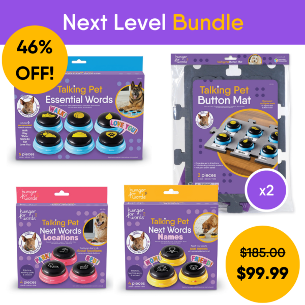 Next Level Bundle